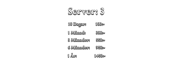 Server 3